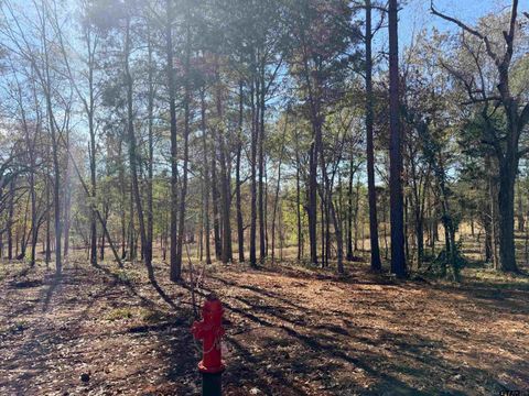 10719 Portside Circle Tyler TX 75708