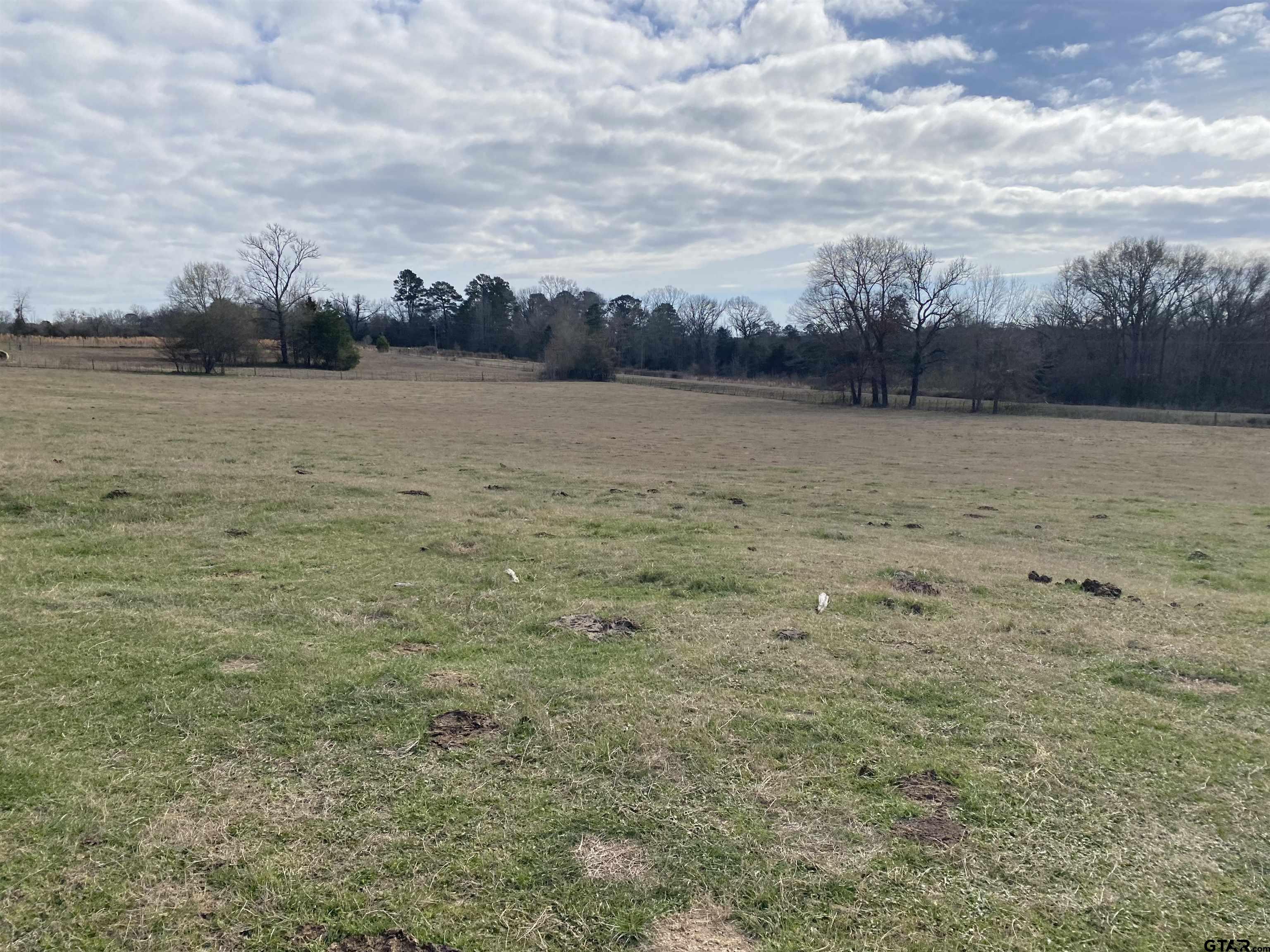 22479 Old Tyler Rd