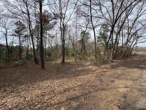 000 CR 1223 Tyler TX 75709