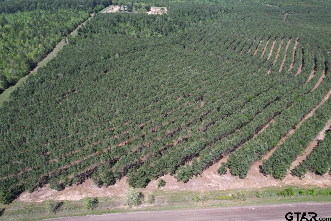 TBD Lincoln Springs Rd