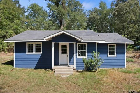 3826 W Highway 11 Daingerfield TX 75638