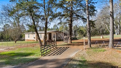 4256 E US Hwy 84 Mt Enterprise TX 75681