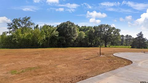 118 Pintail Lane Troup TX 75789