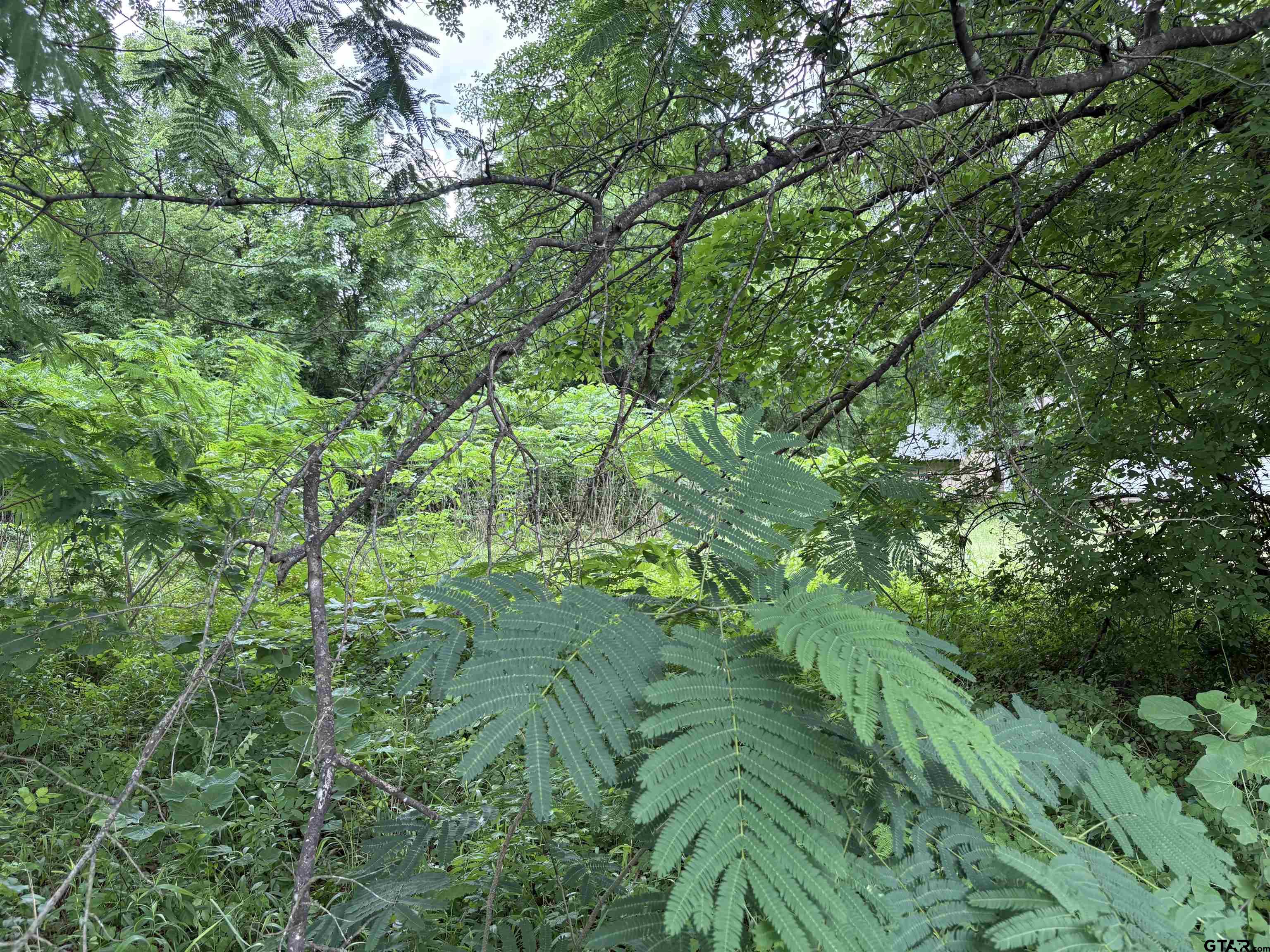 Tyler, Texas 75702, United States, ,Land,Active,120327