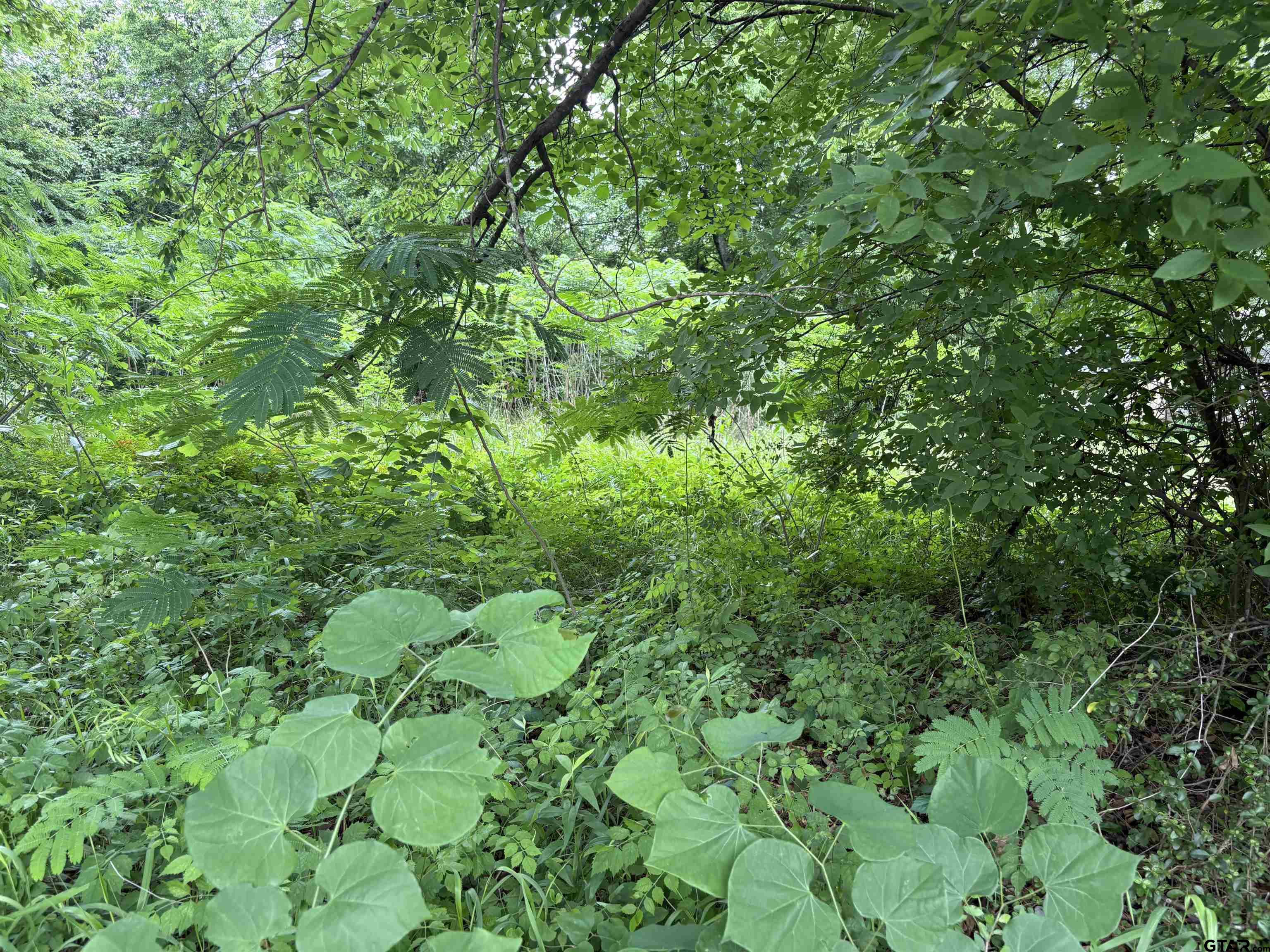 Tyler, Texas 75702, United States, ,Land,Active,120327