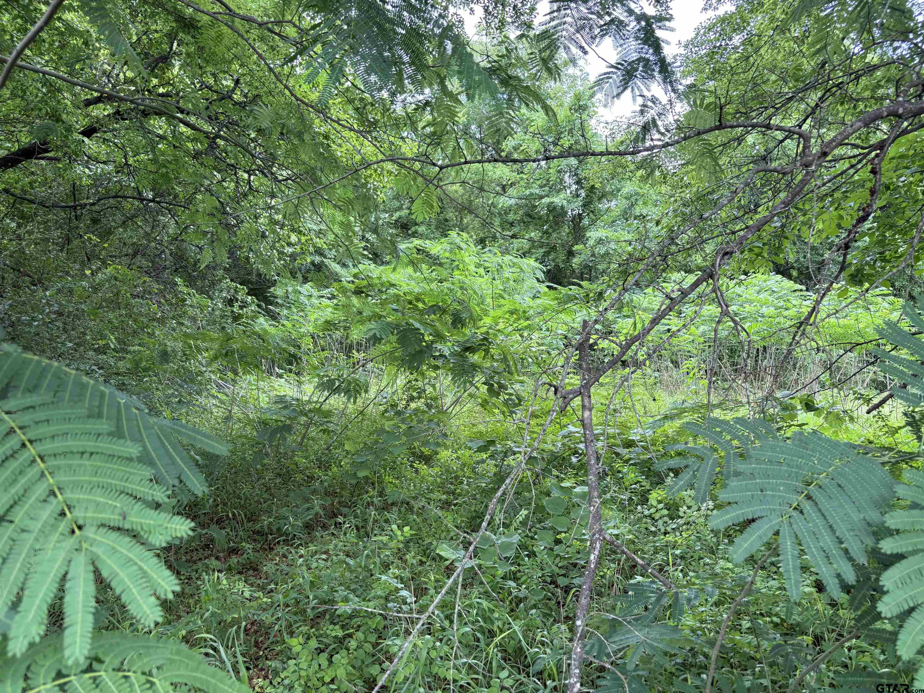 Tyler, Texas 75702, United States, ,Land,Active,120327