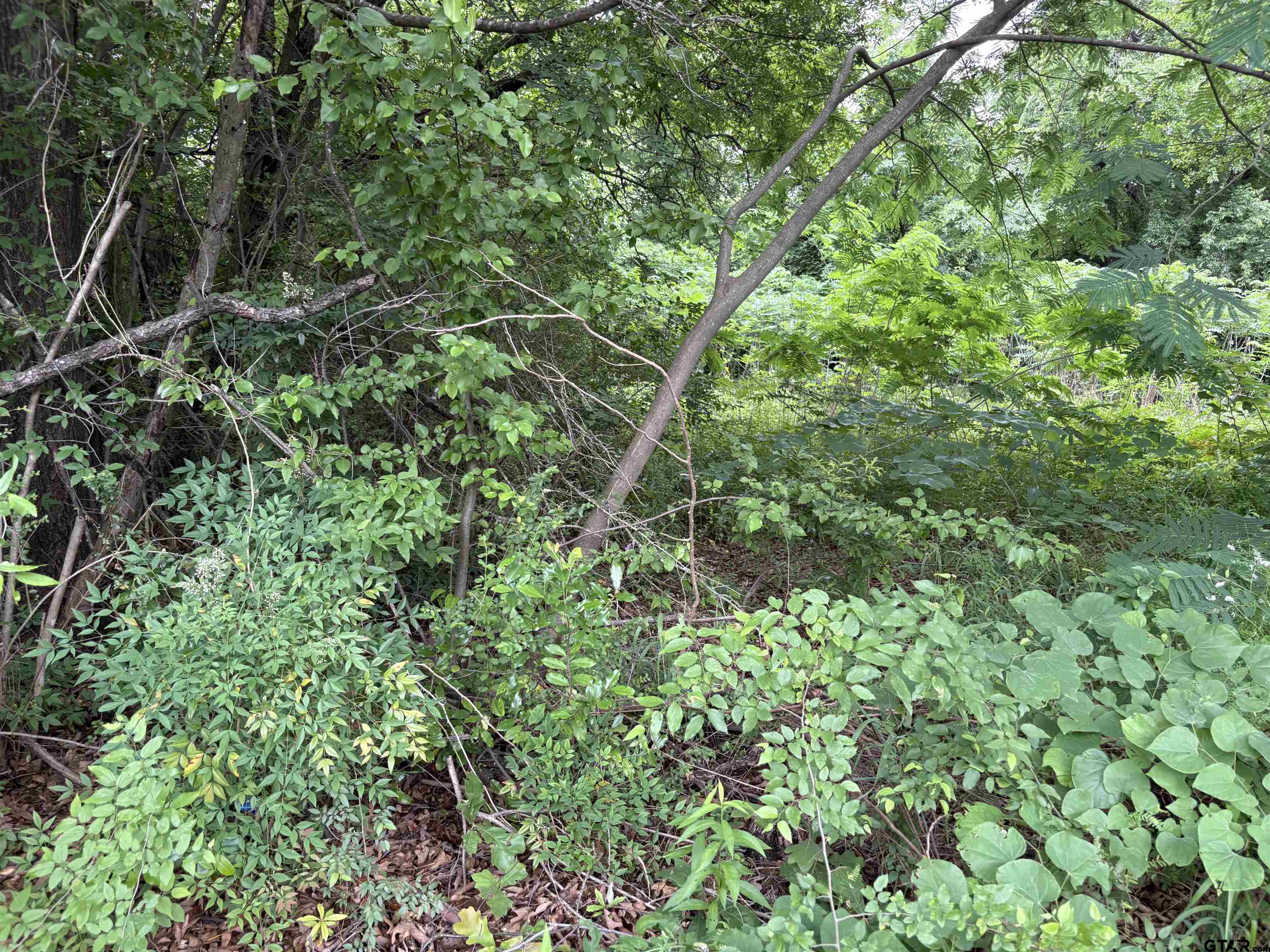 Tyler, Texas 75702, United States, ,Land,Active,120327