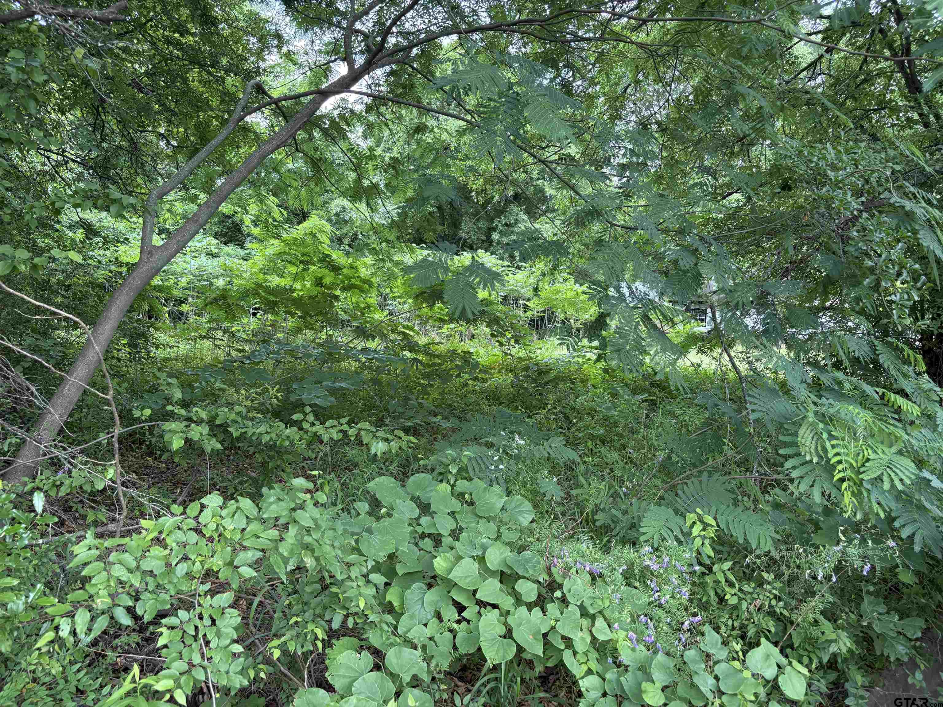 Tyler, Texas 75702, United States, ,Land,Active,120327