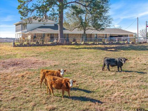 1700 Fm 1995 Van TX 75790