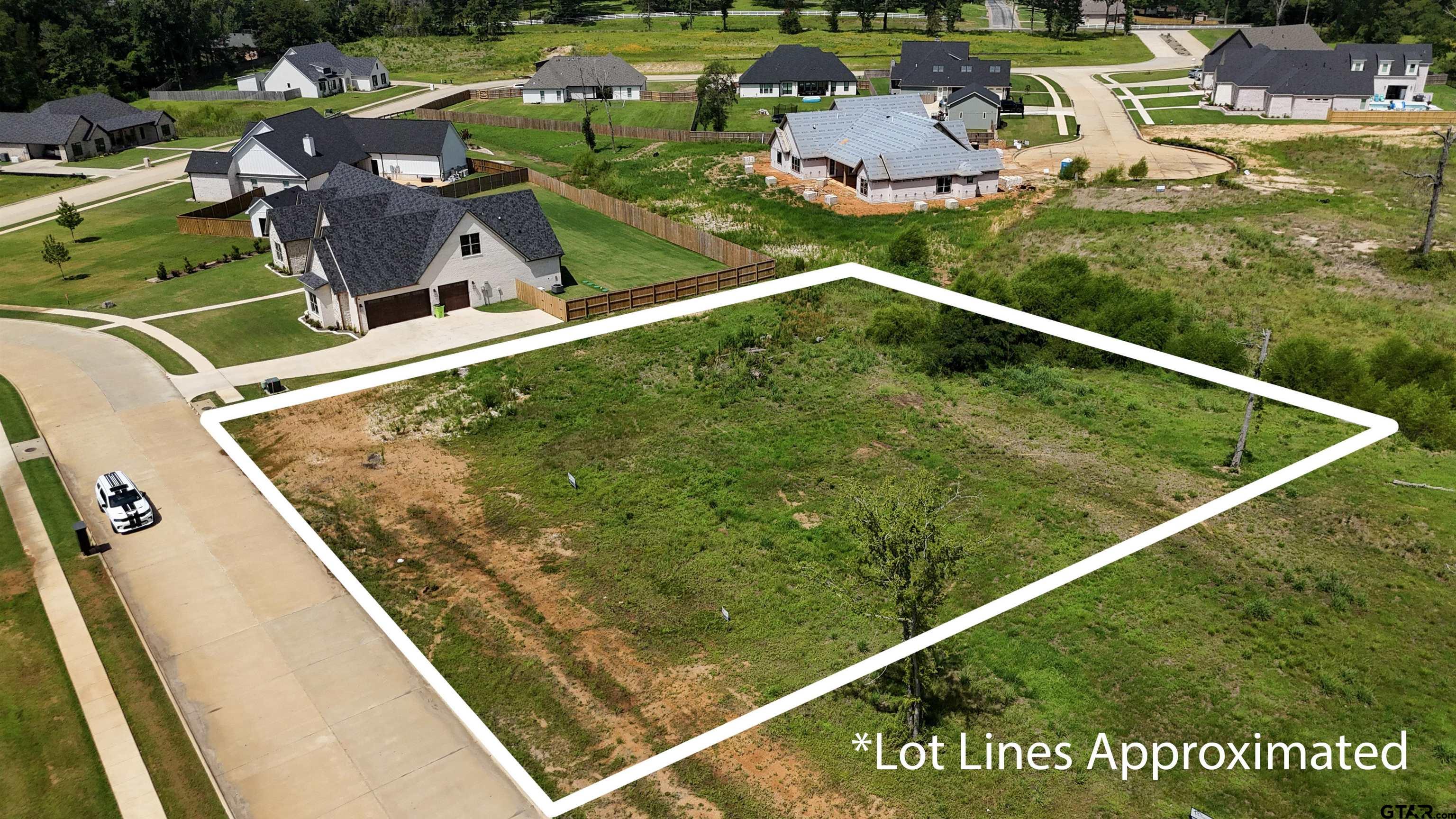 12152 Cotton - Lot 13