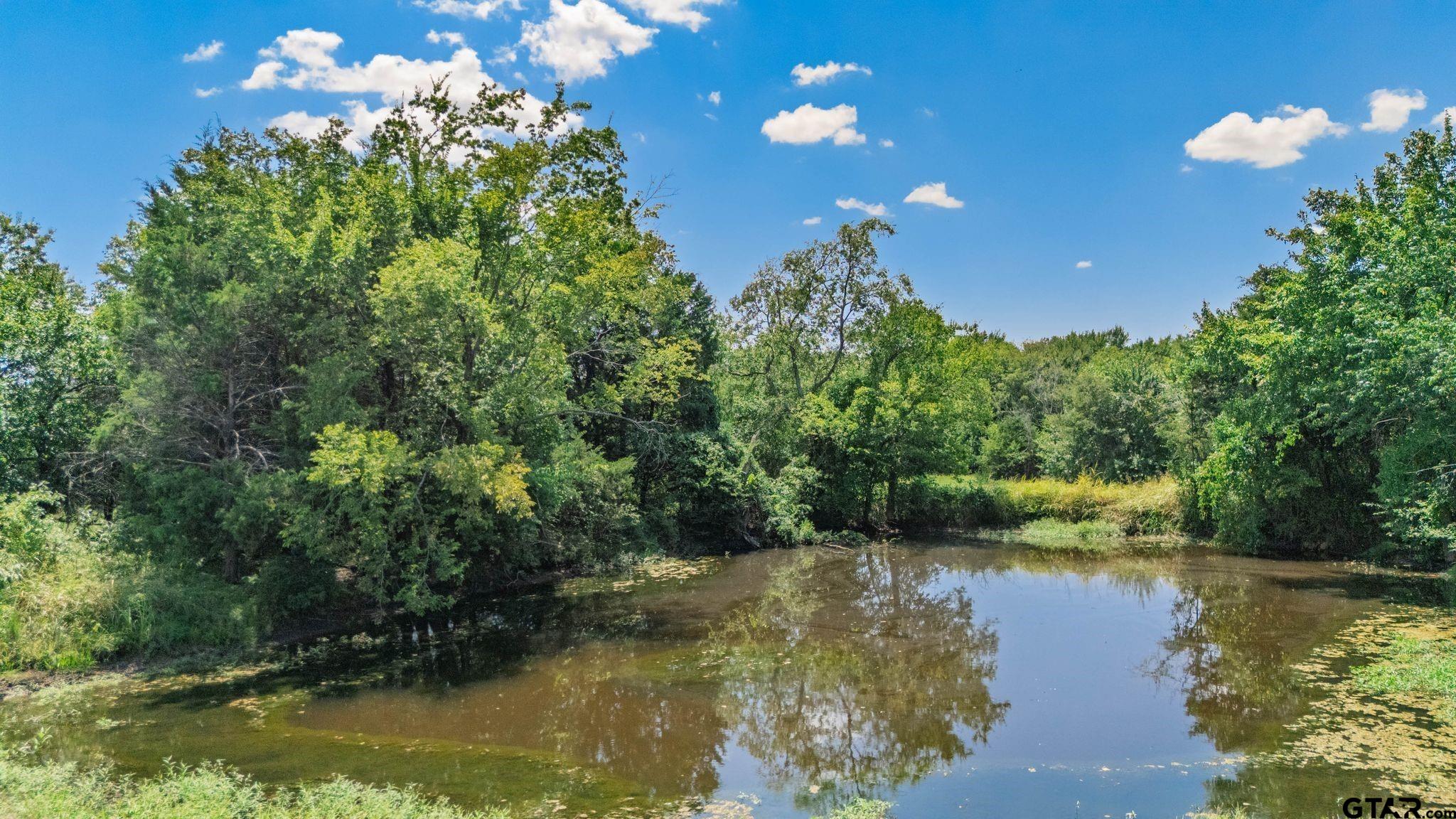 47 Acres Farm Road 275