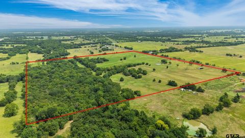 47 Acres Farm Road 275 Cumby TX 75433
