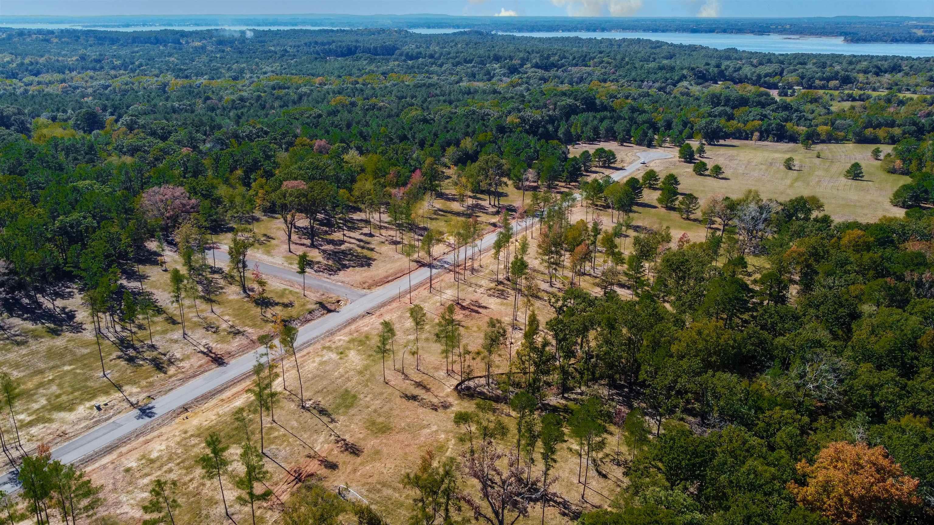 15640 Aniston Ln - (LOT 25)
