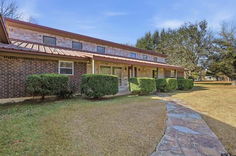 132 cr 2933 Pittsburg TX 75686