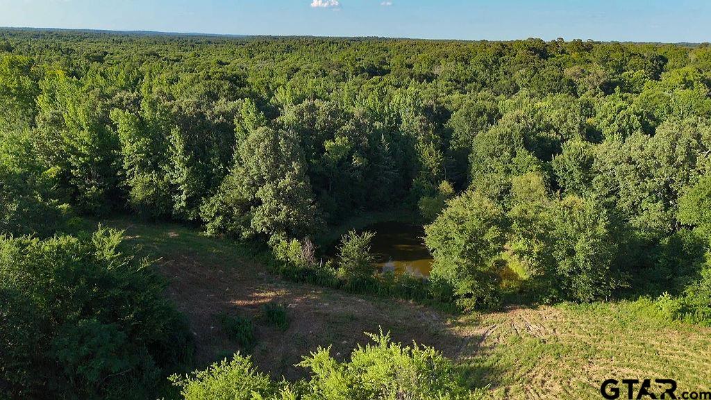 753 County Road 4390