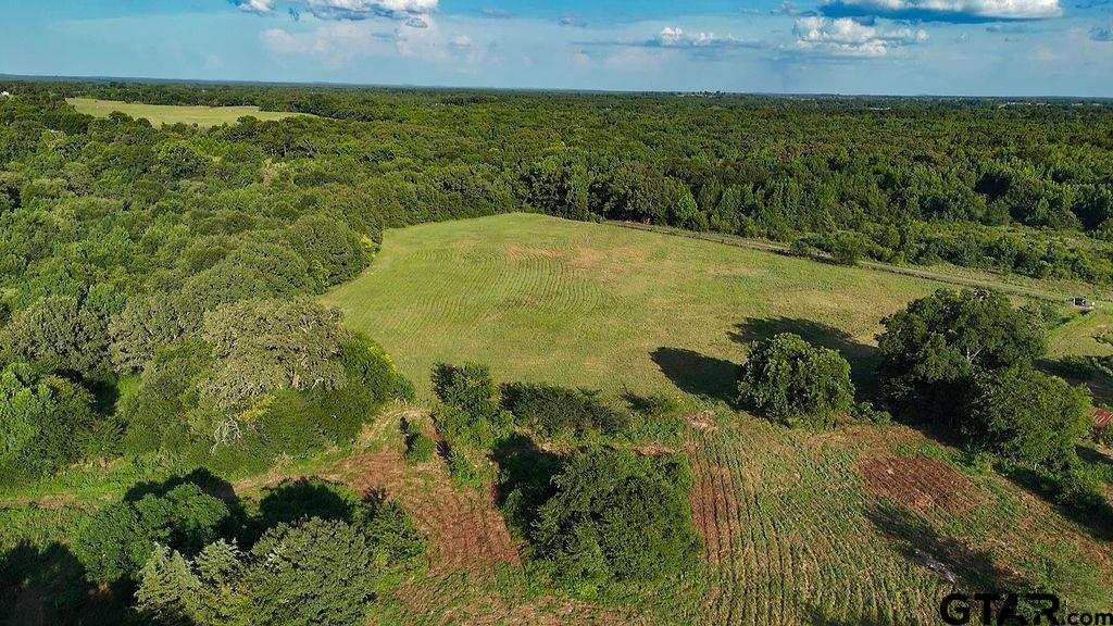 753 County Road 4390