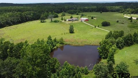 128 County Road 3878 Mineola TX 75773