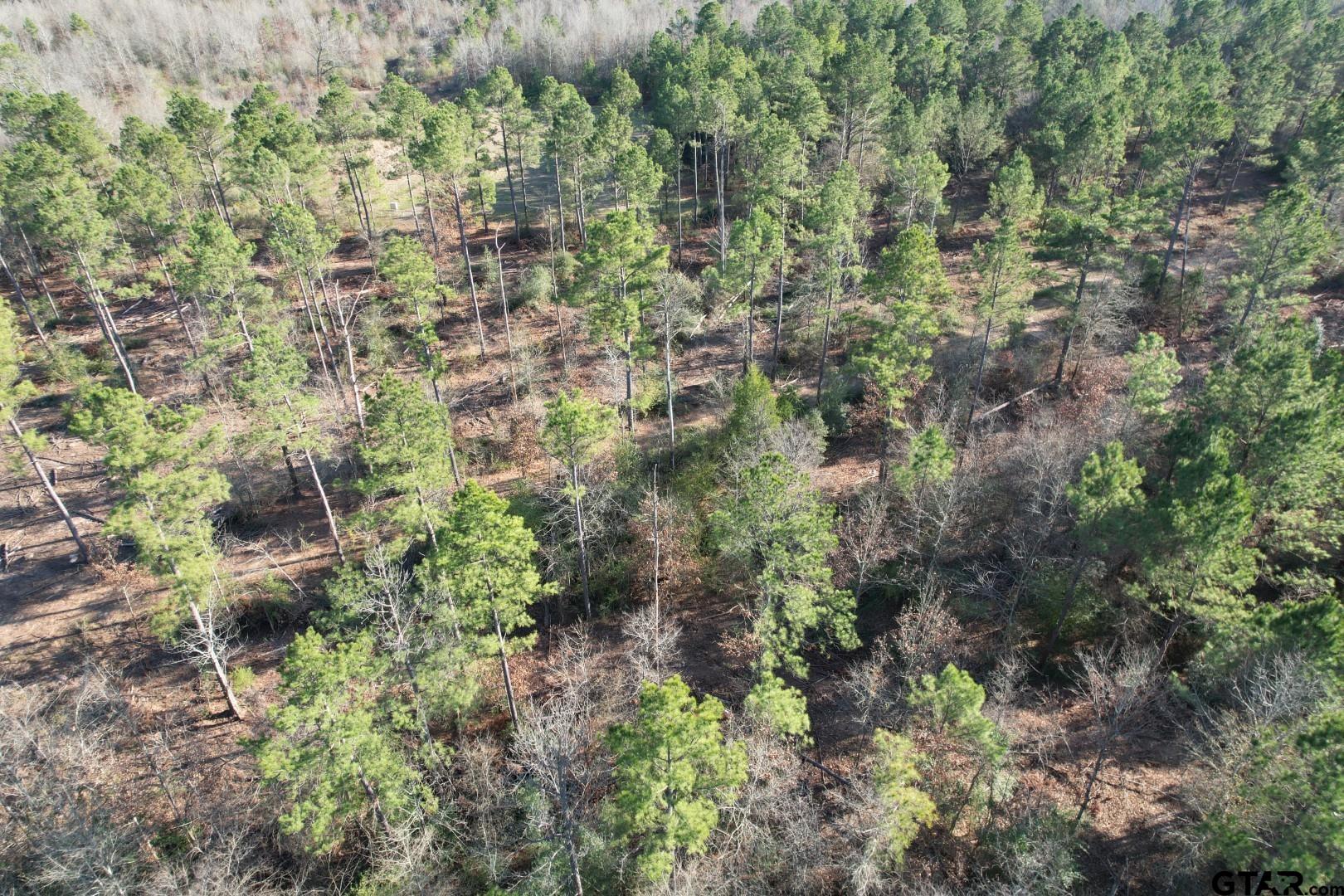 TBD-D County Road 216