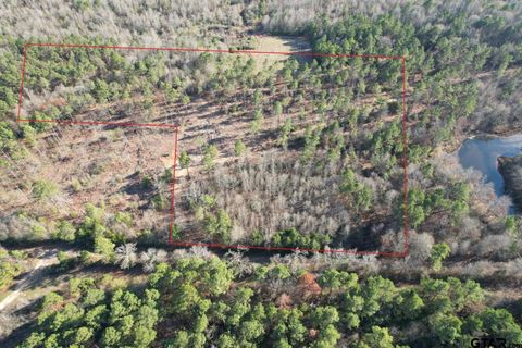 TBD-D County Road 216 Beckville TX 75631