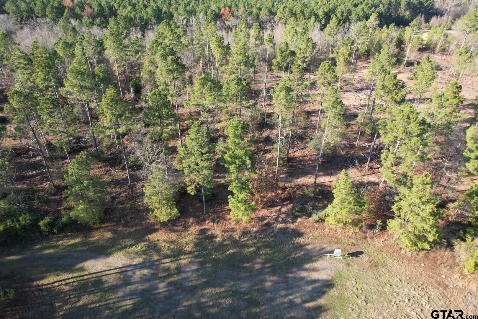 TBD-D County Road 216