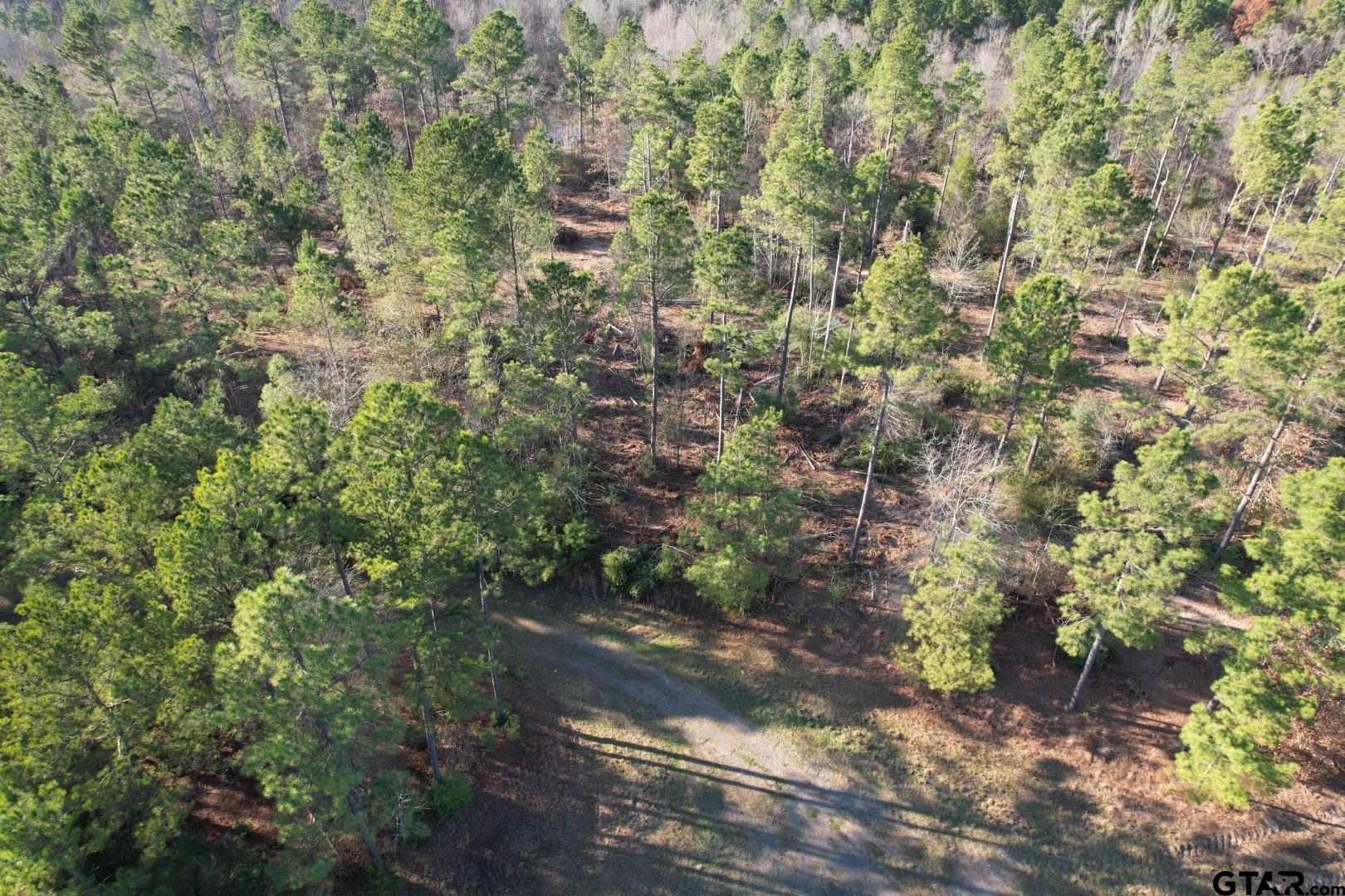 TBD-D County Road 216