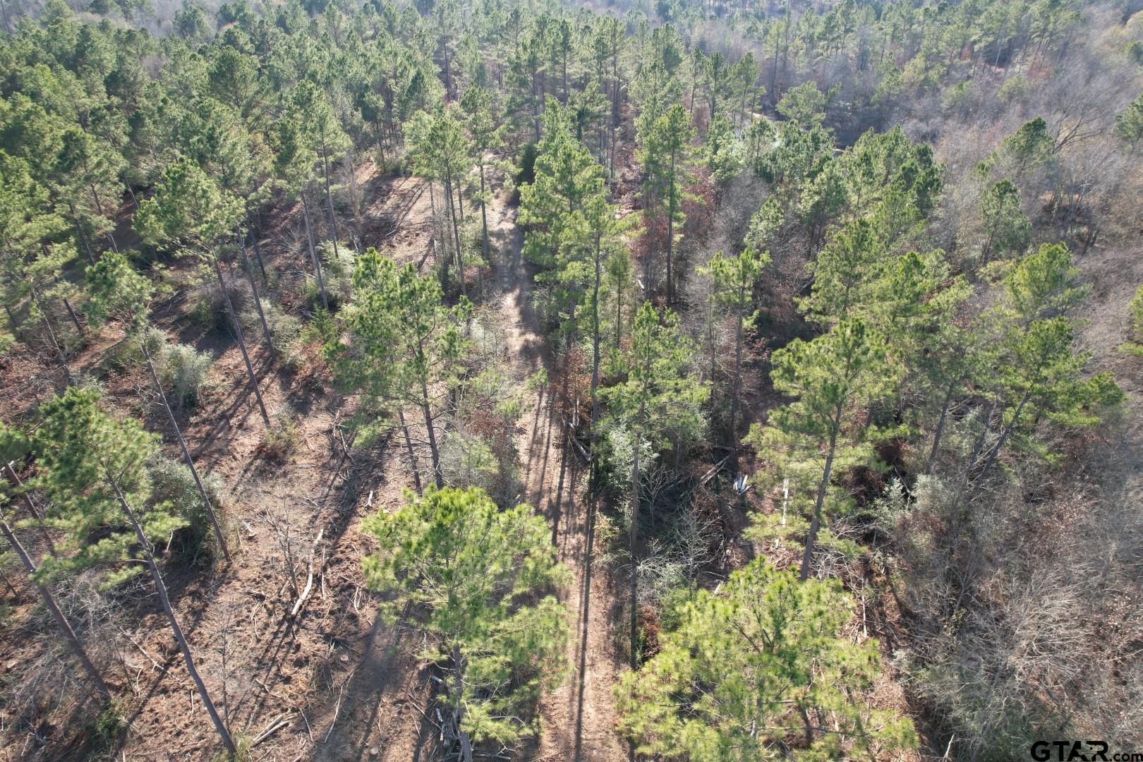 TBD-D County Road 216