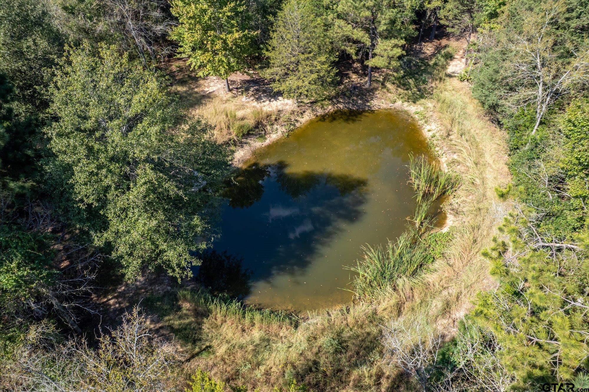 12580 County Road 3612