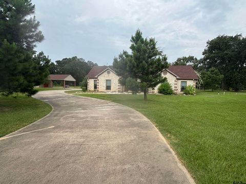 244 CR 2321 Pittsburg TX 75686