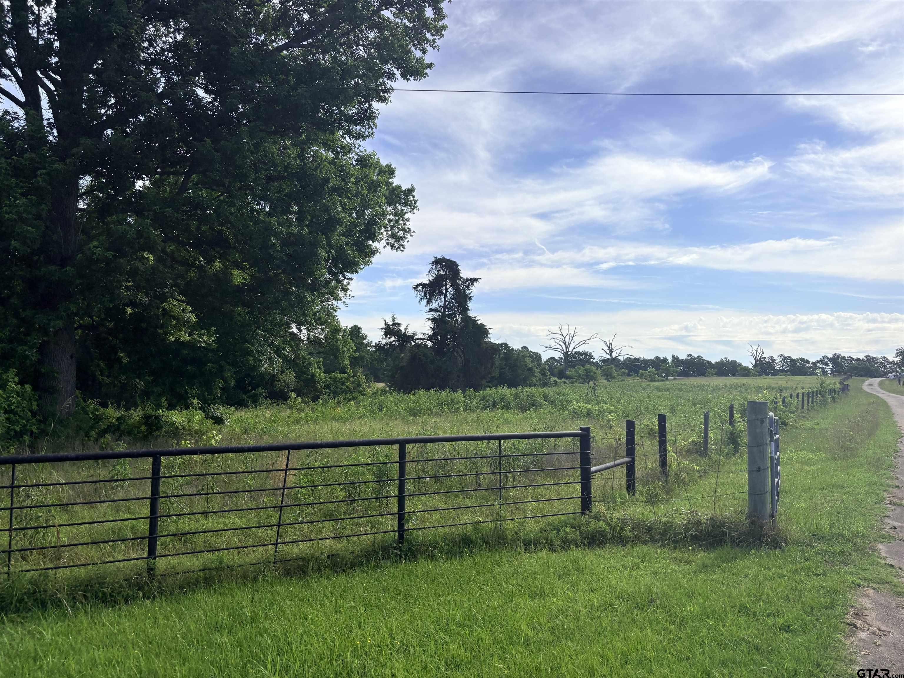LOT 8 5.5 ACRESCOUNTY ROAD 2166