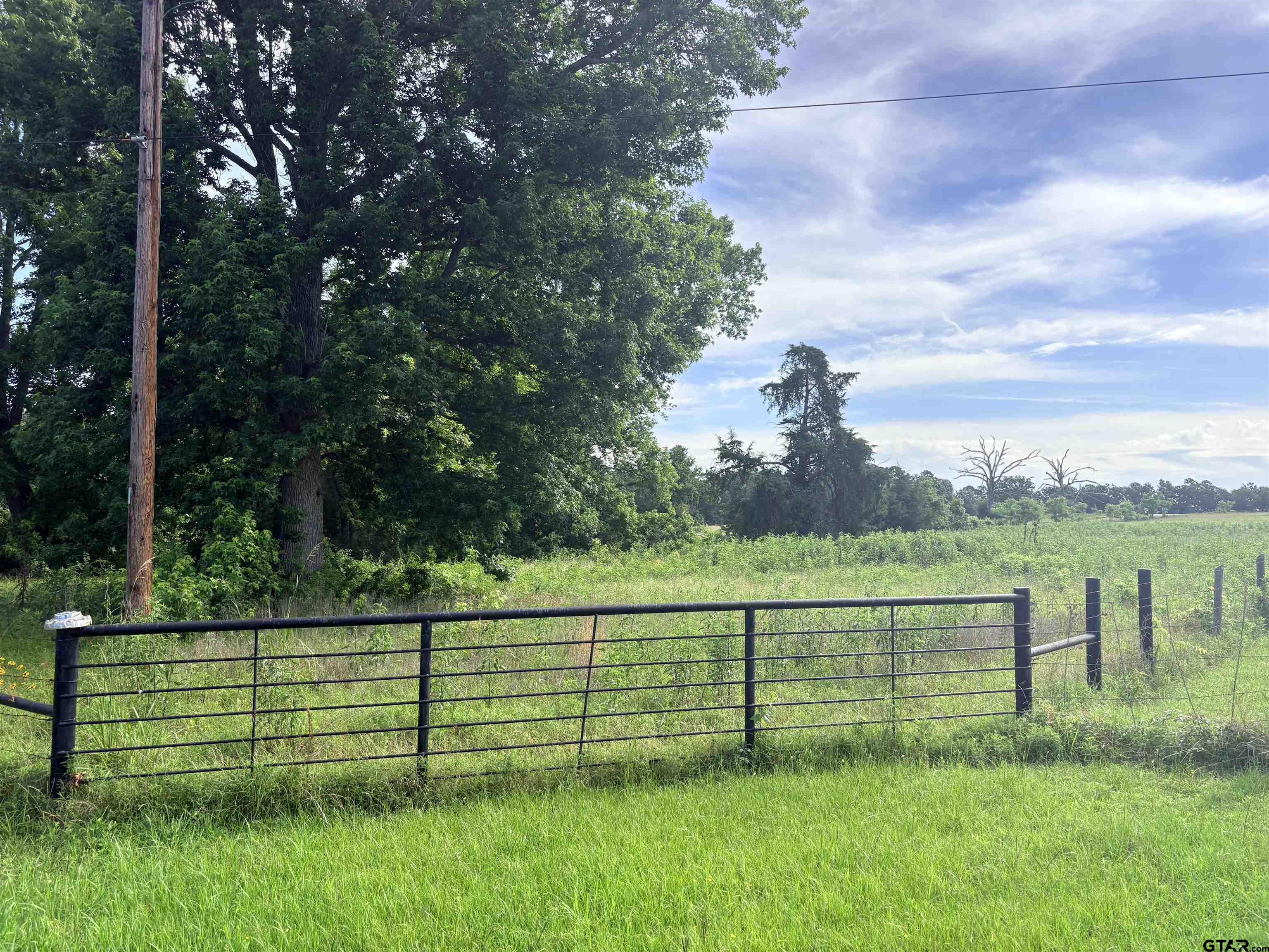 LOT 8 5.5 ACRESCOUNTY ROAD 2166