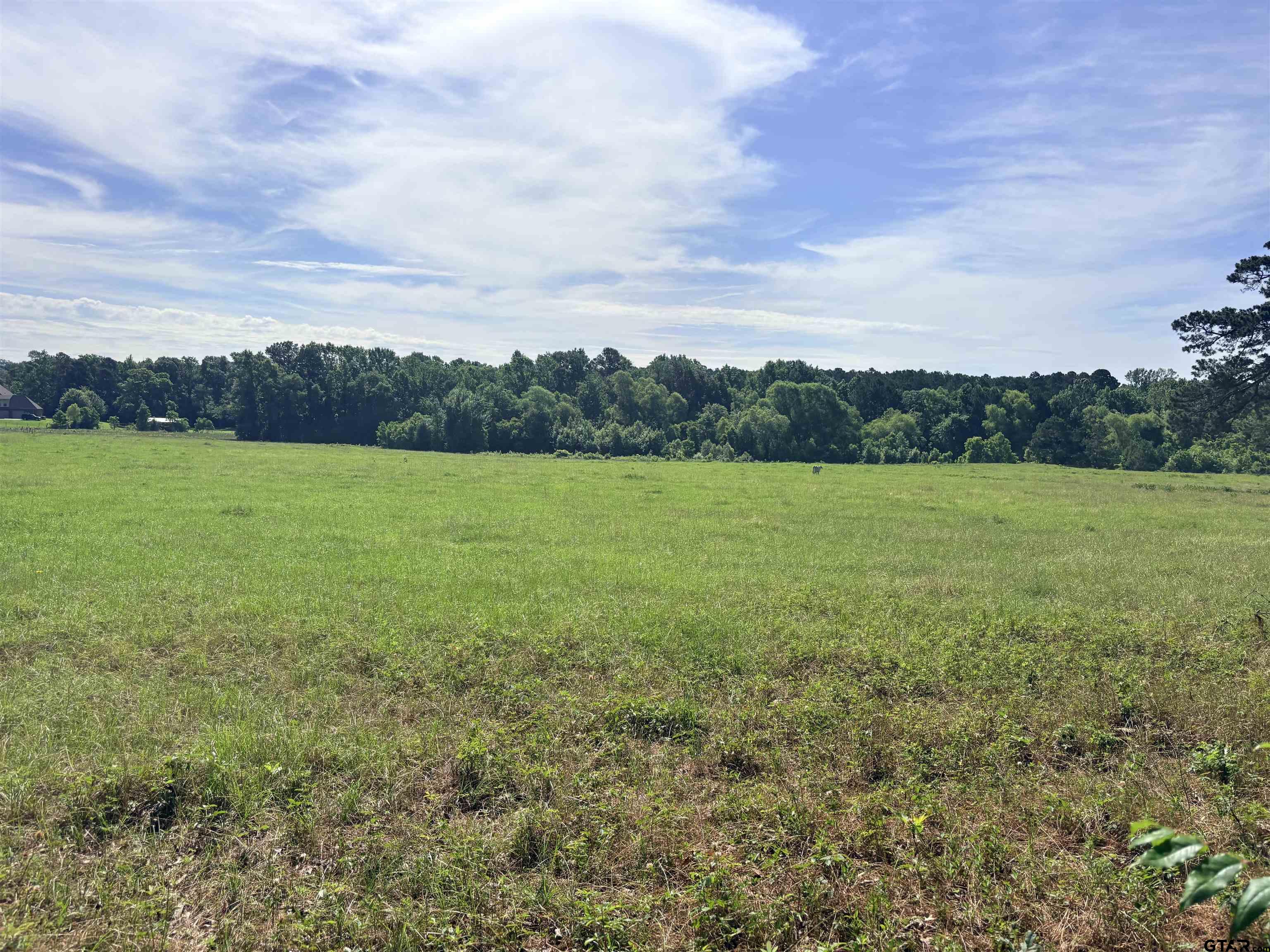 LOT 8 5.5 ACRESCOUNTY ROAD 2166