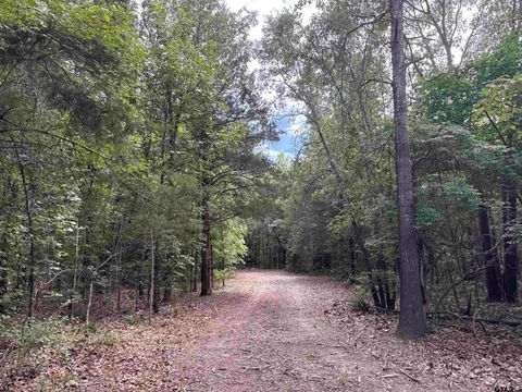 22417 CR 455 Mineola TX 75773