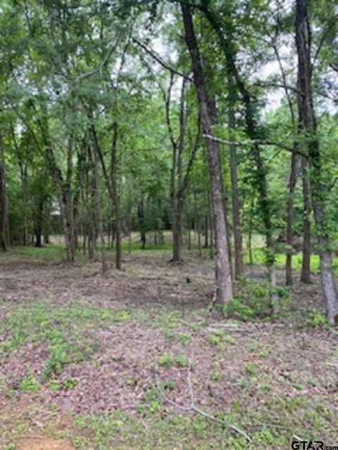 14113 & 14121 EAST RIDGE RD Arp TX 75750