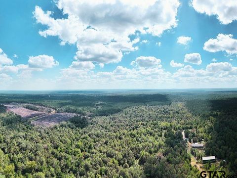 TBD Lot 1 FM 2208 Jefferson TX 75657