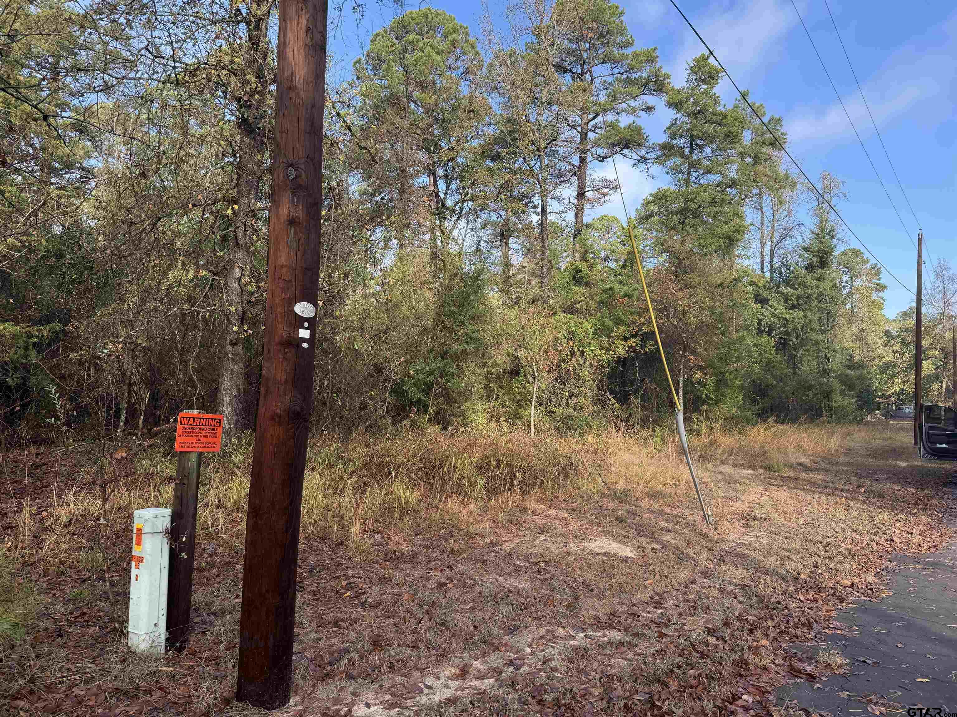 Lot 336 King Bernanrd