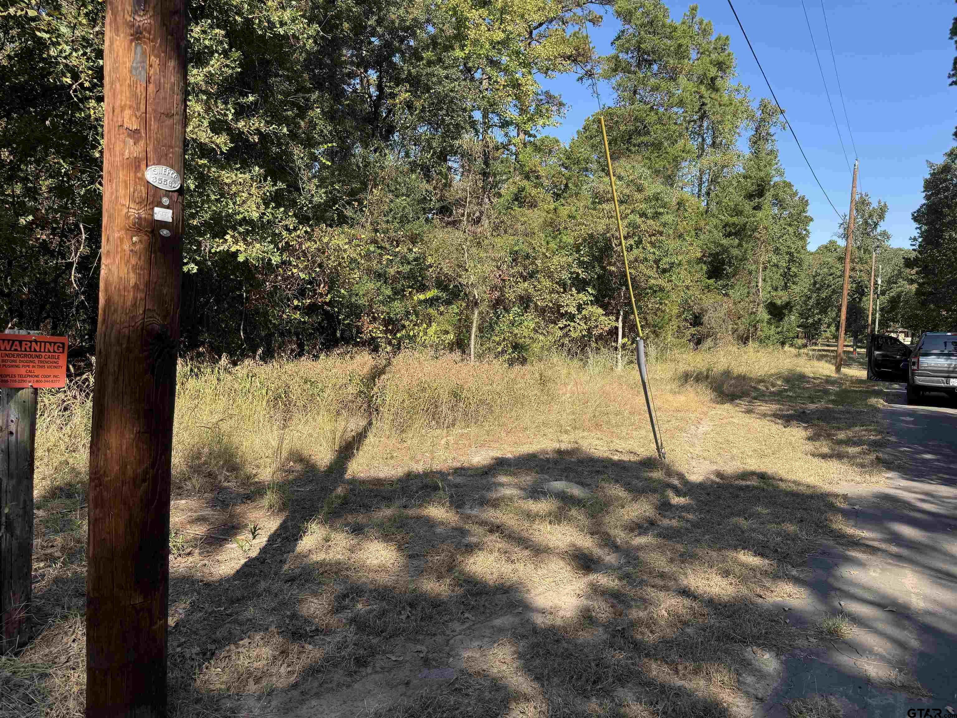 Lot 336 King Bernanrd