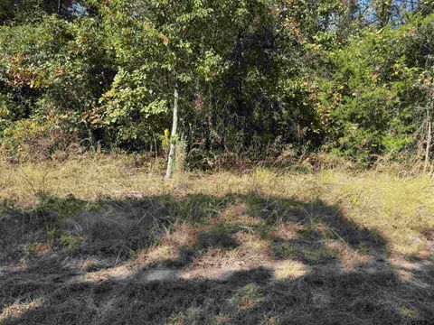 Lot 336 King Bernanrd Scroggins TX 75480
