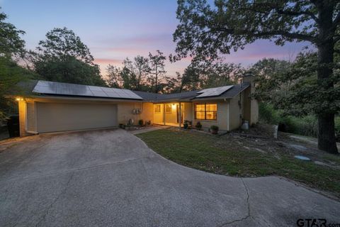 127 Birdie Ln Hideaway TX 75771