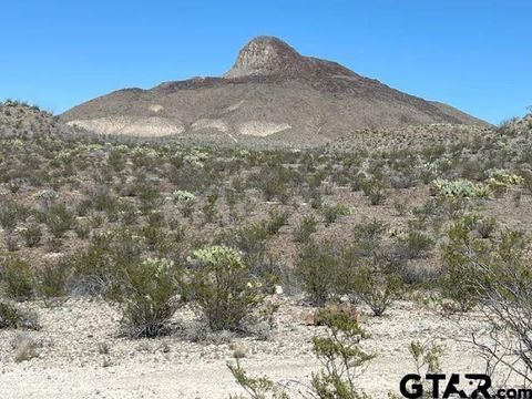 21553 Black Peak PID 21553 Terlingua TX 79852
