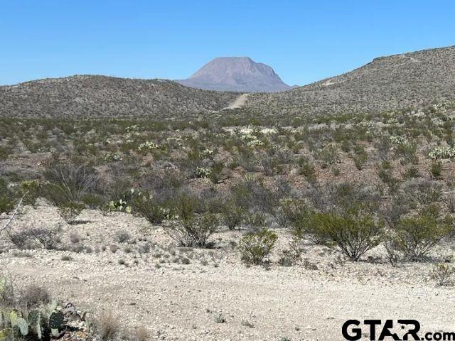 21553 Black Peak PID 21553