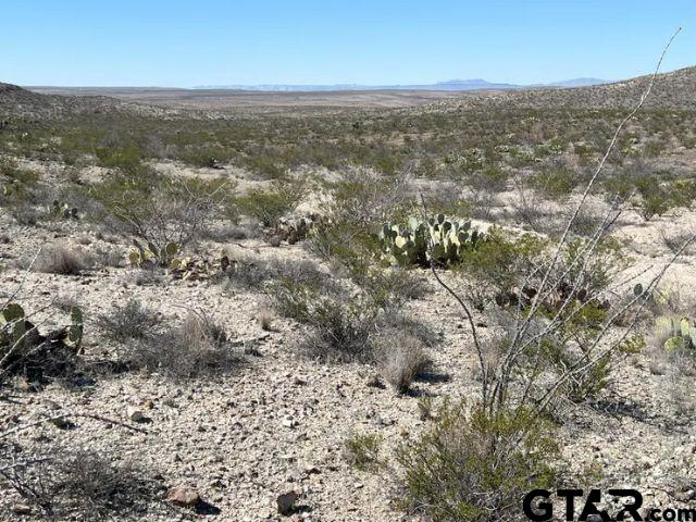 21553 Black Peak PID 21553