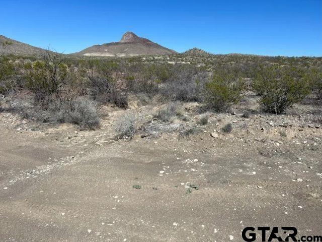 21553 Black Peak PID 21553