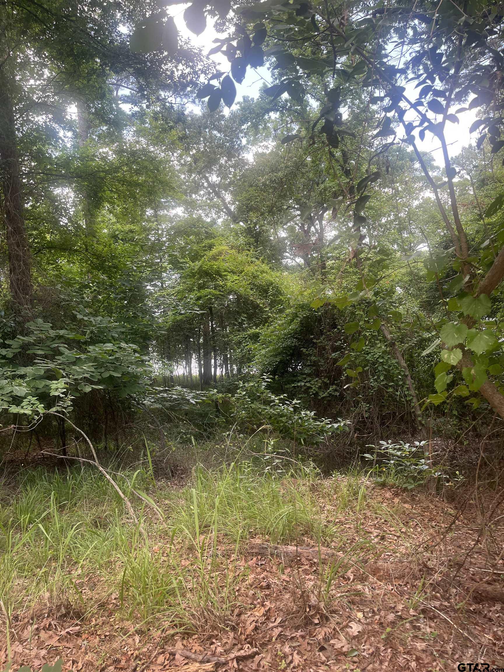 Lakeside Place