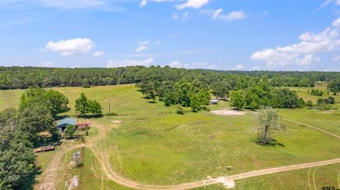 12250 CR 3513 Brownsboro TX 75756