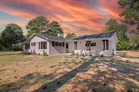 113 CR 2434 Mineola TX 75773