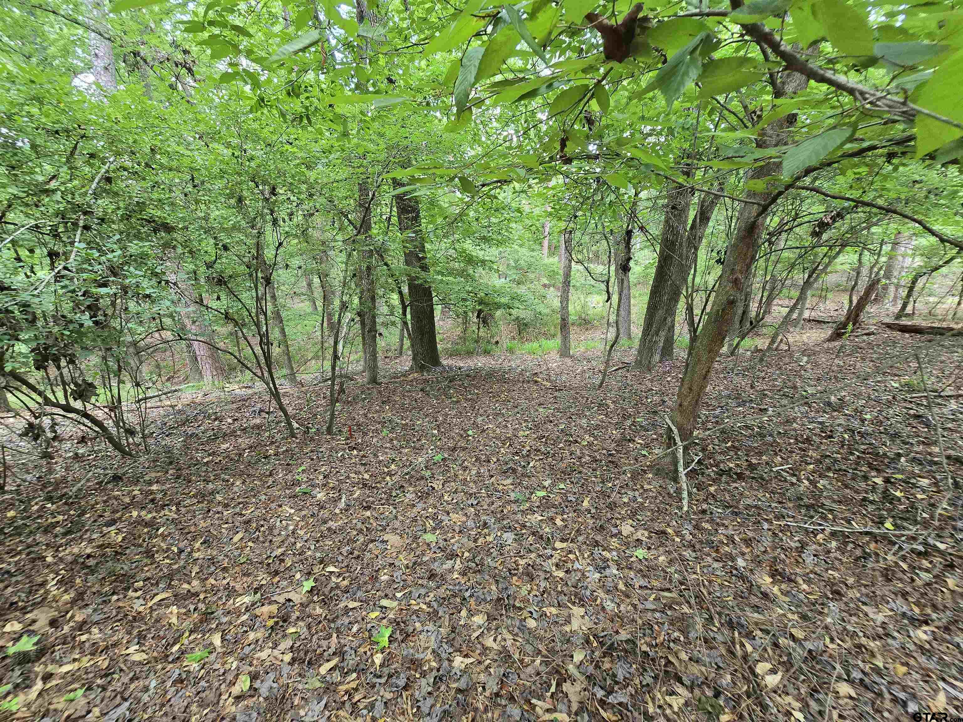 Frankston, Texas 75763, United States, ,Land,Active,138023