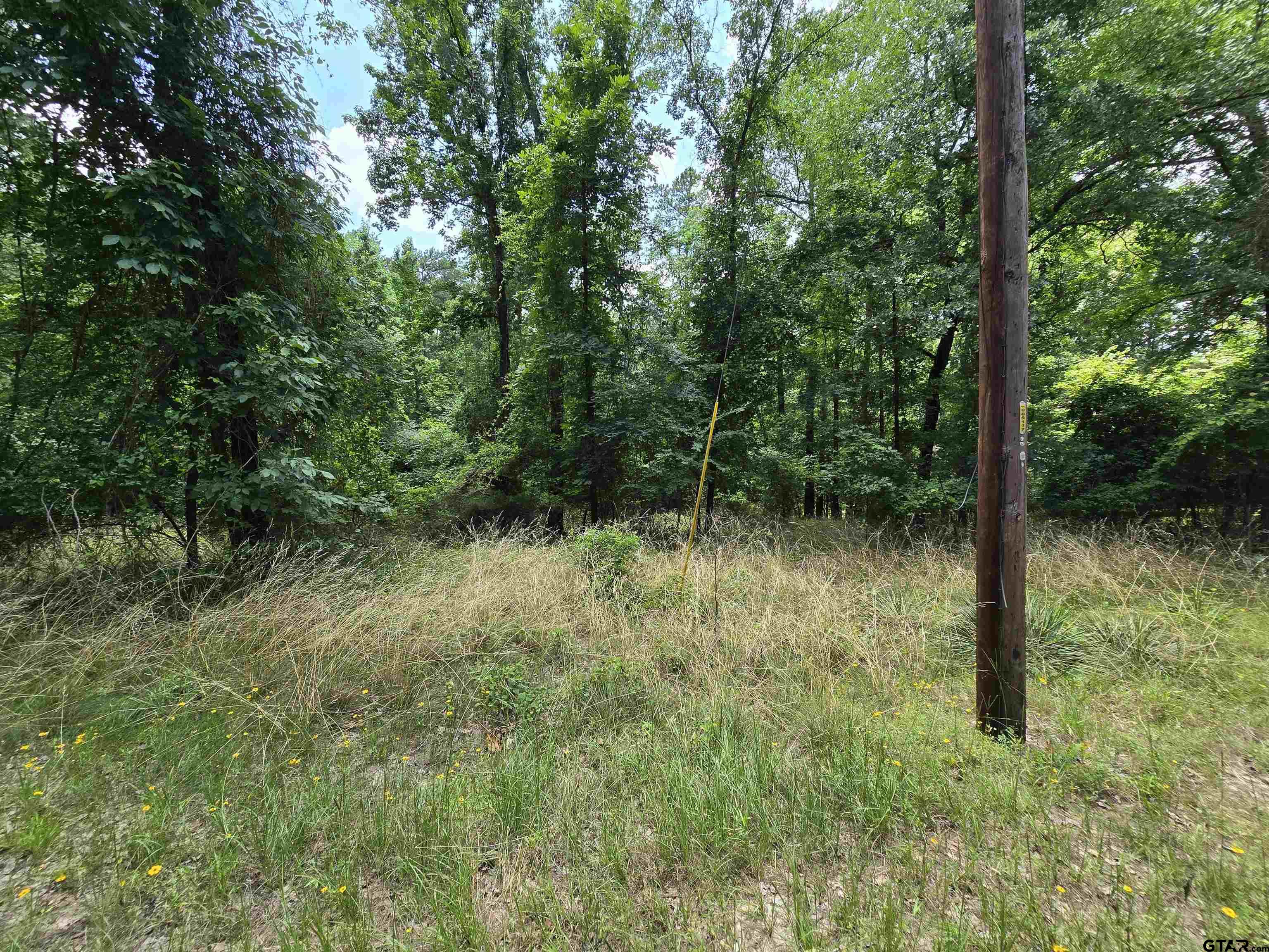 Frankston, Texas 75763, United States, ,Land,Active,138023