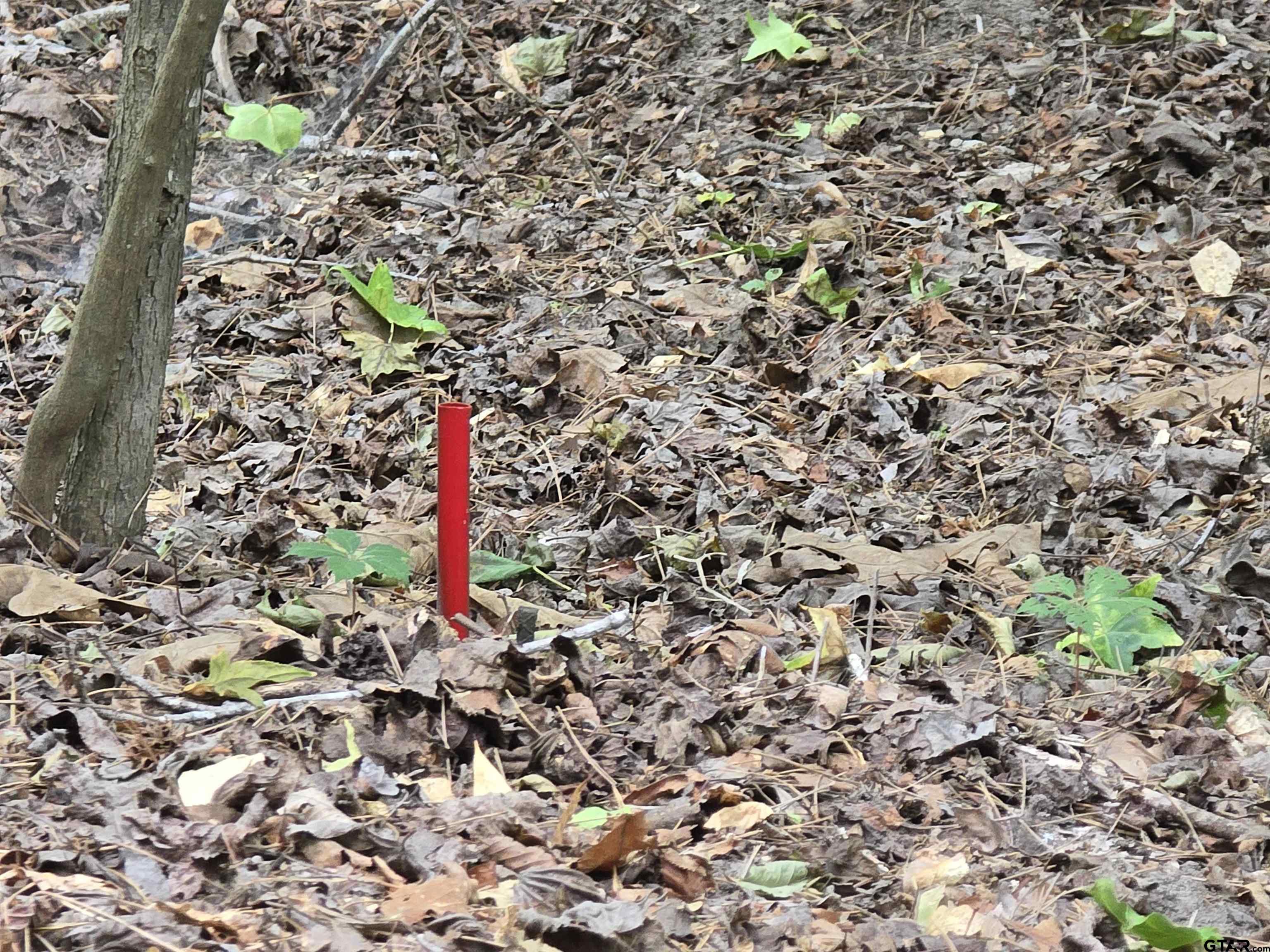 Frankston, Texas 75763, United States, ,Land,Active,138023