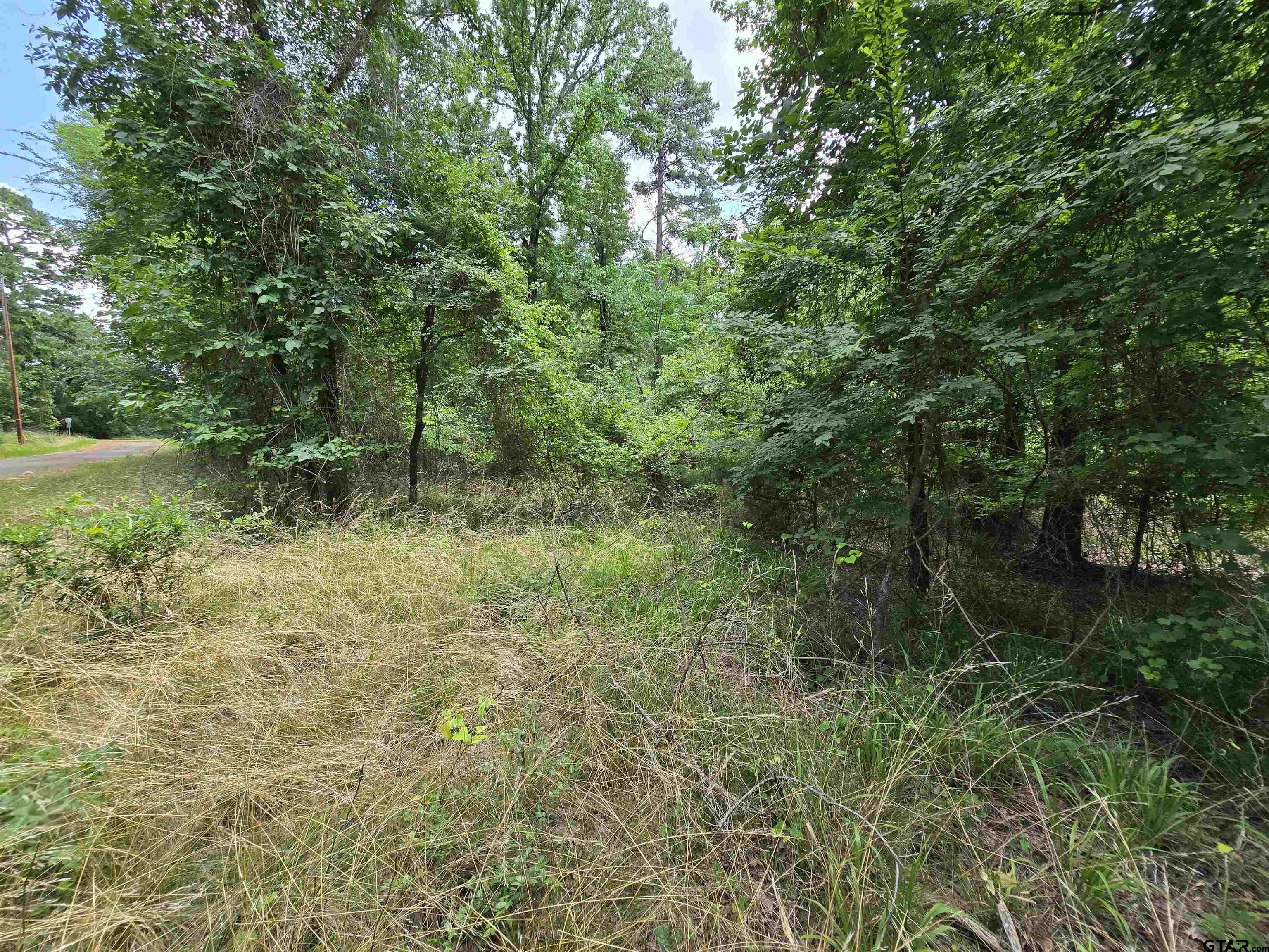 Frankston, Texas 75763, United States, ,Land,Active,138023