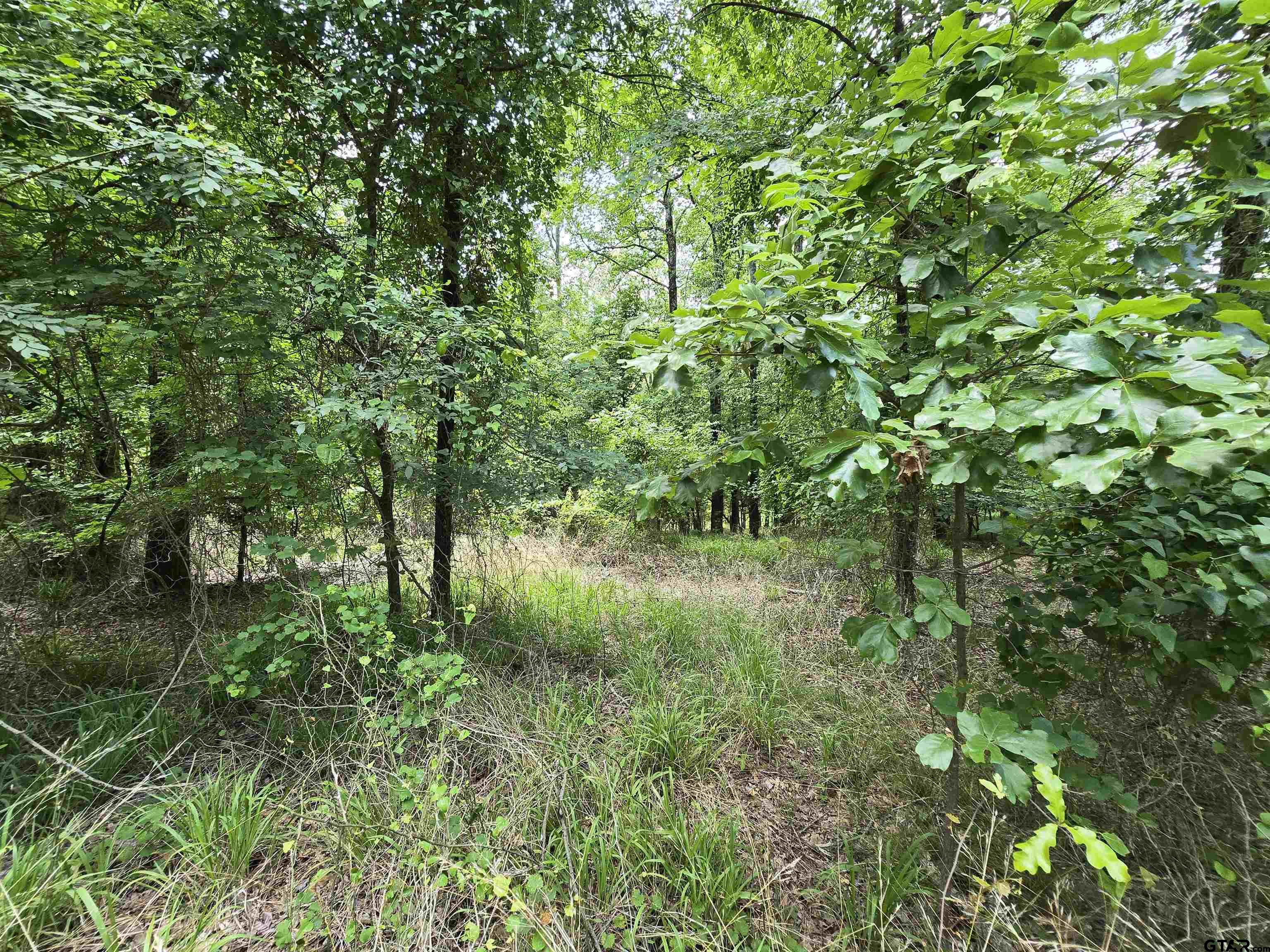 Frankston, Texas 75763, United States, ,Land,Active,138023